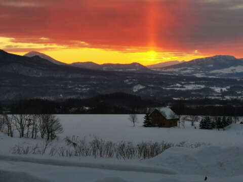 4 Winter Soga Meadows II