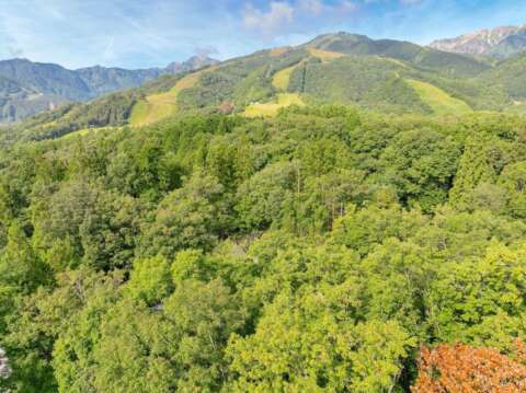 3 Wadano Premium Chalet Site AA