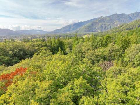 4 Wadano Premium Chalet Site AA