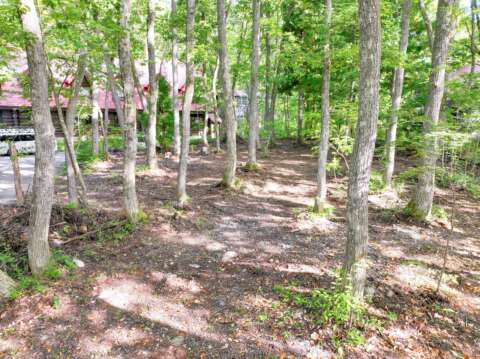 6 Newtons land